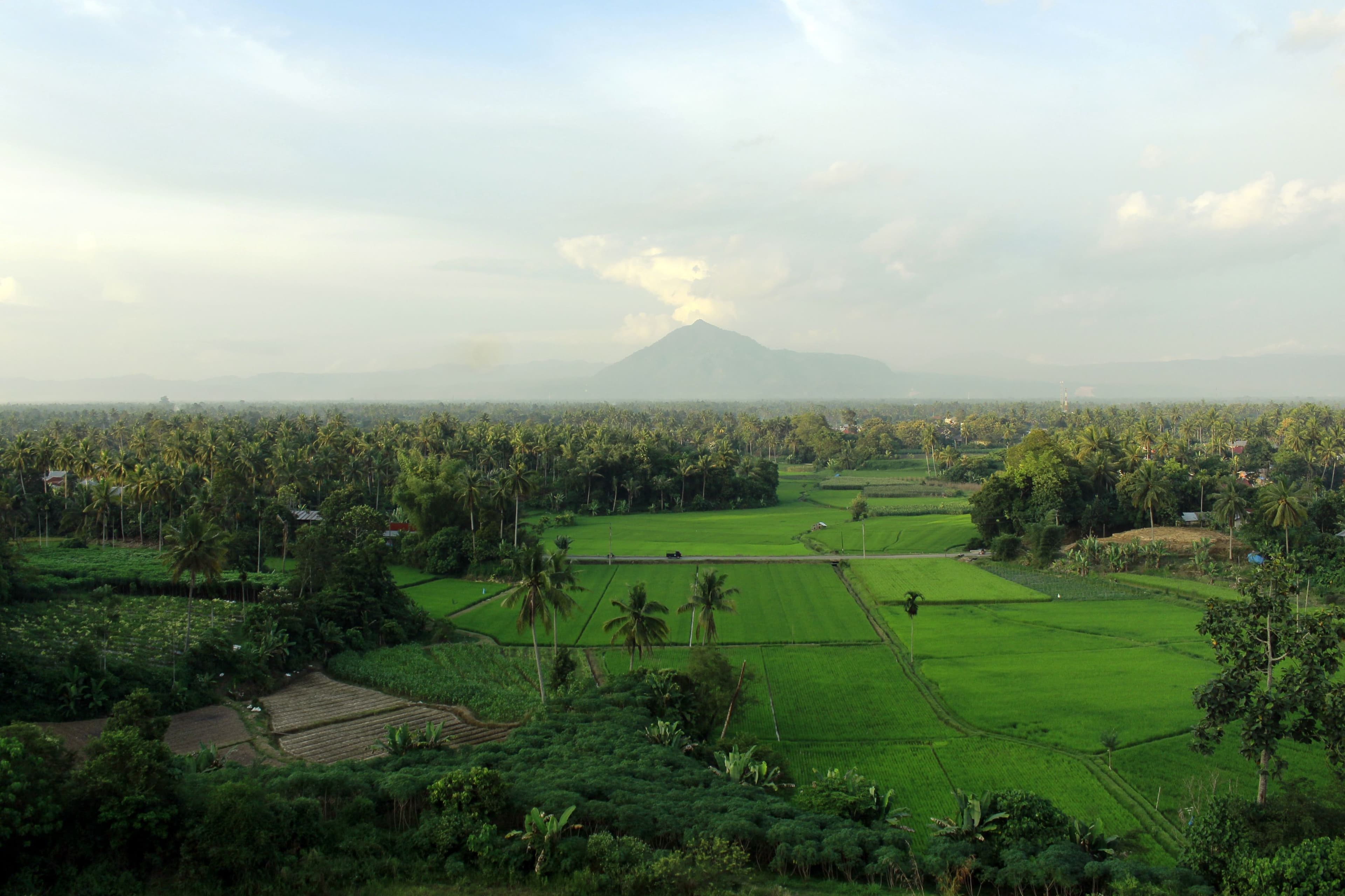 Ayunan Gantung